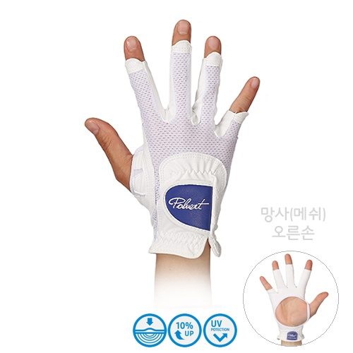   (޽) ɼ    尩 ȭƮ  ɼ  UV ڿܼ  ÿ  ʵǰ (Polvert Right Hand Golf Glove 3Key Point)  ǰ θ  YENAM